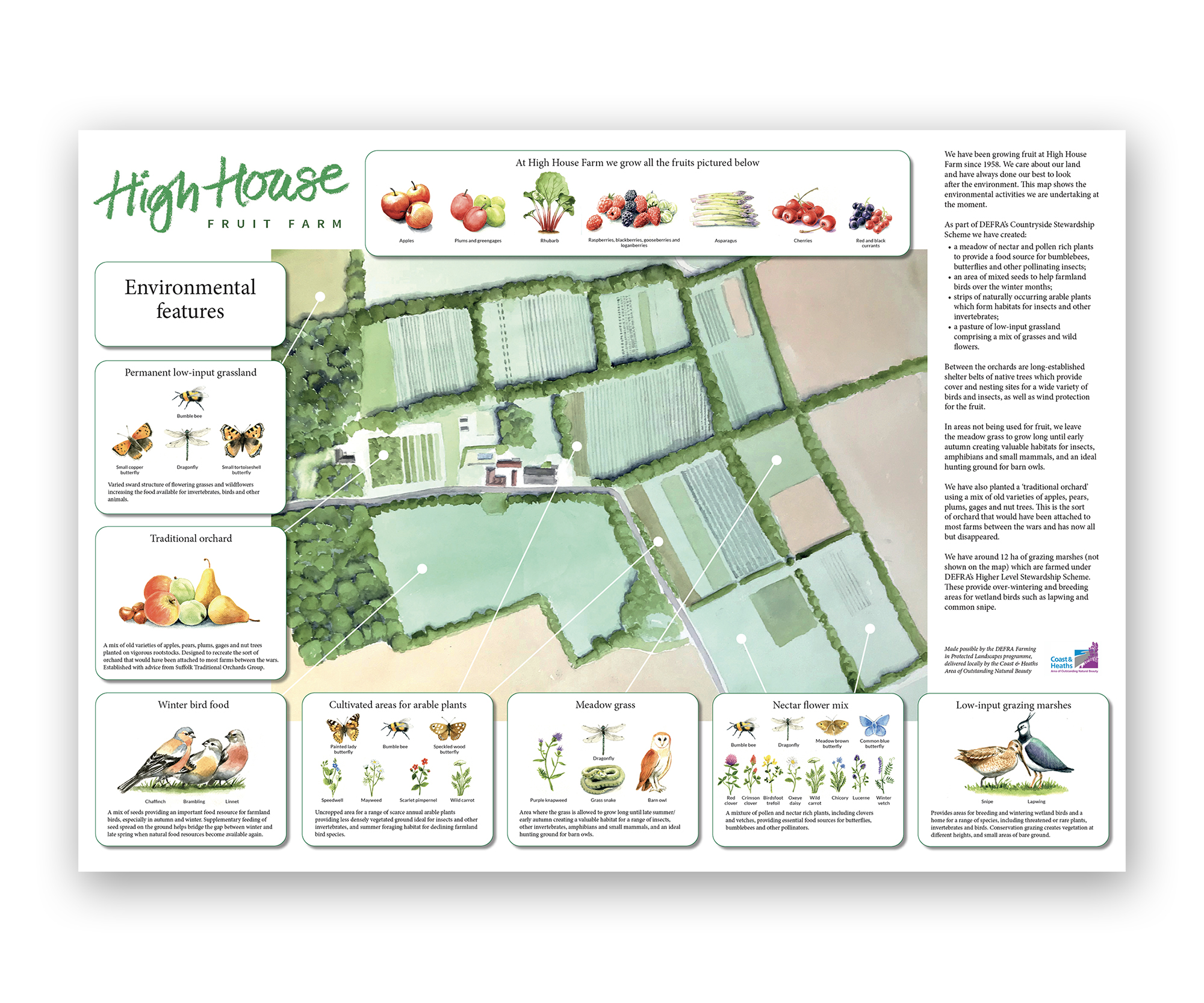 Illustrated wildlife map
