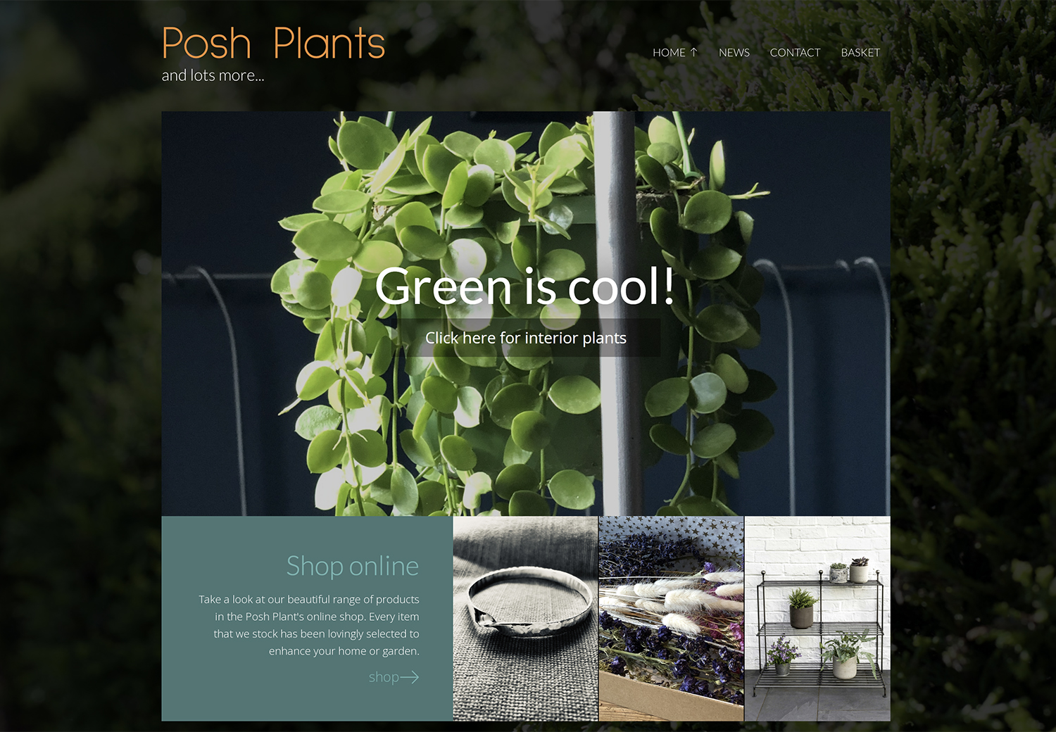 Nursery website